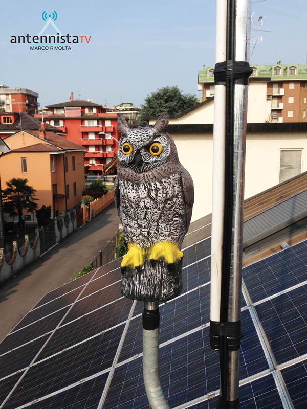 Installazione impianto antenna digitale terrestre con gufo