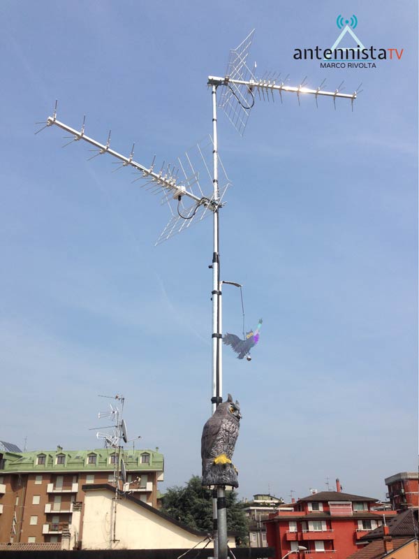 Installazione impianto antenna digitale terrestre con gufo