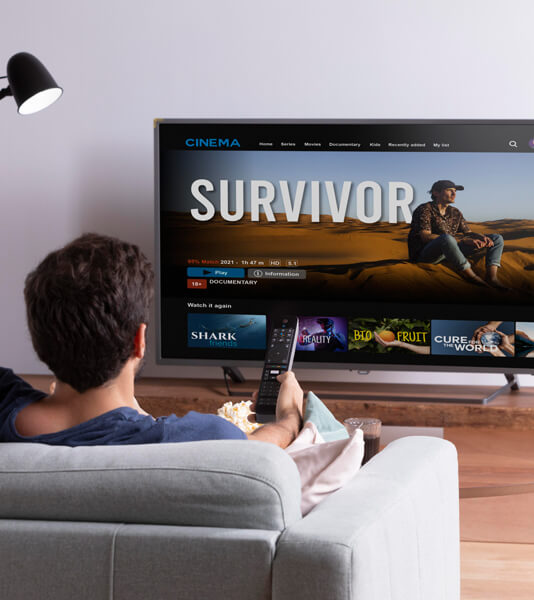 Storia della Televisione:  TV digitale